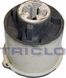 Triclo 788869 - Suspension, corps de l'essieu cwaw.fr