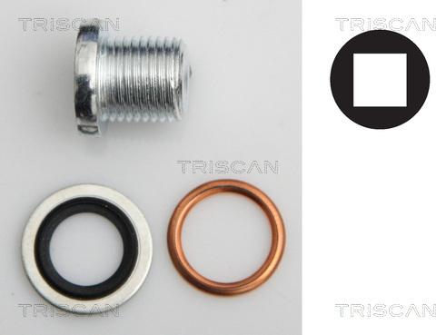 Triscan 9500 1003 - Vis-bouchon, carter d'huile cwaw.fr