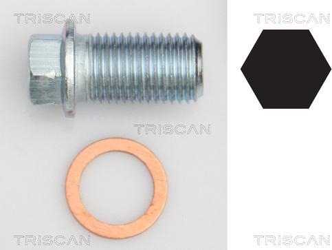 Triscan 9500 1012 - Vis-bouchon, carter d'huile cwaw.fr