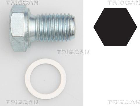 Triscan 9500 1101 - Vis-bouchon, carter d'huile cwaw.fr