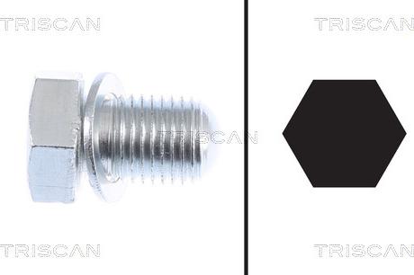 Triscan 9500 2903-400 - Vis-bouchon, carter d'huile cwaw.fr