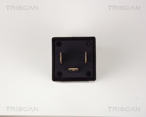 Triscan 1010 EP31 - Centrale clignotante cwaw.fr