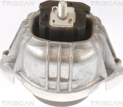 Triscan 8505 11107 - Support moteur cwaw.fr