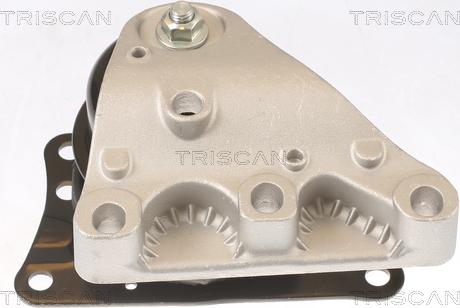 Triscan 8505 29110 - Support moteur cwaw.fr