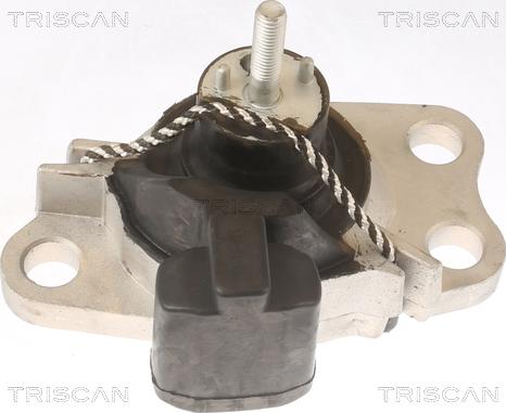 Triscan 8505 25100 - Support moteur cwaw.fr