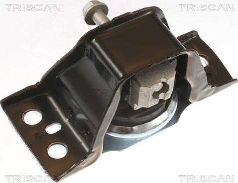 Triscan 8505 25113 - Support moteur cwaw.fr