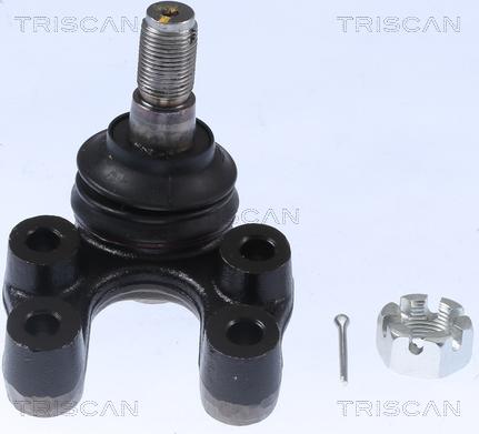 Triscan 8500 14567 - Rotule de suspension cwaw.fr