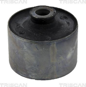 Triscan 8500 10846 - Suspension, corps de l'essieu cwaw.fr