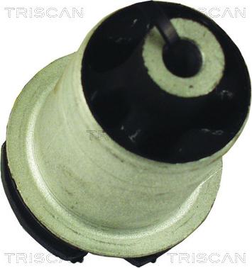 Triscan 8500 29856 - Suspension, corps de l'essieu cwaw.fr