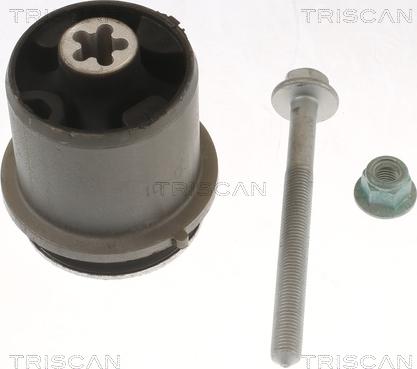 Triscan 8500 298077 - Suspension, corps de l'essieu cwaw.fr