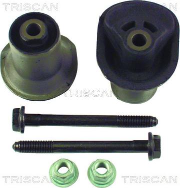 Triscan 8500 29829 - Suspension, corps de l'essieu cwaw.fr