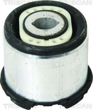 Triscan 8500 29873 - Suspension, corps de l'essieu cwaw.fr