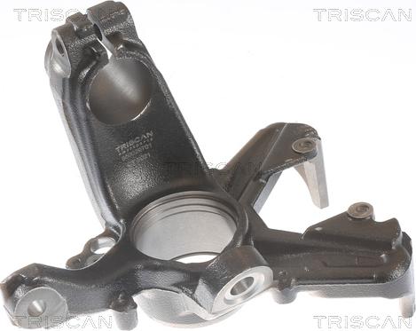 Triscan 8500 29701 - Fusée d'essieu, suspension de roue cwaw.fr