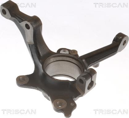 Triscan 8500 29718 - Fusée d'essieu, suspension de roue cwaw.fr