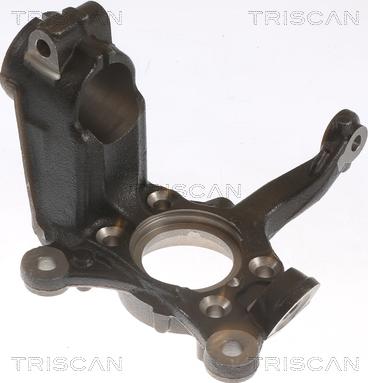 Triscan 8500 29712 - Fusée d'essieu, suspension de roue cwaw.fr