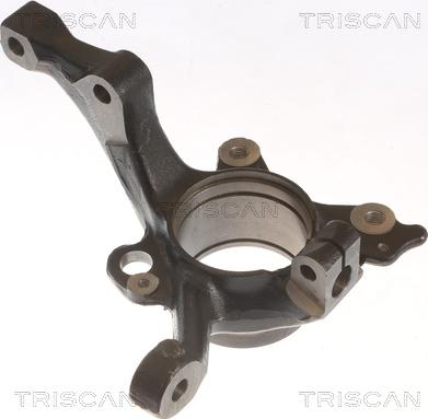 Triscan 8500 29717 - Fusée d'essieu, suspension de roue cwaw.fr