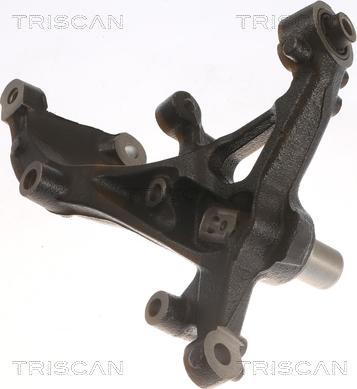 Triscan 8500 29723 - Fusée d'essieu, suspension de roue cwaw.fr