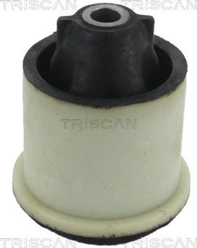 Triscan 8500 25846 - Suspension, corps de l'essieu cwaw.fr