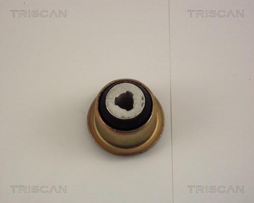 Triscan 8500 25806 - Suspension, bras de liaison cwaw.fr