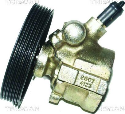 Triscan 8515 65603 - Pompe hydraulique, direction cwaw.fr