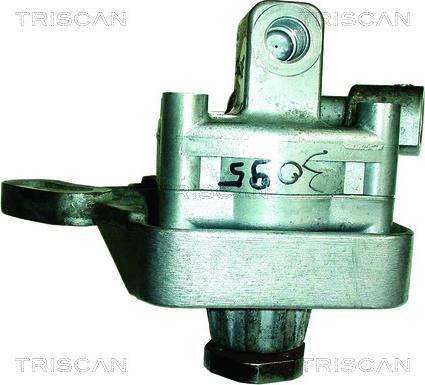 Triscan 8515 15604 - Pompe hydraulique, direction cwaw.fr