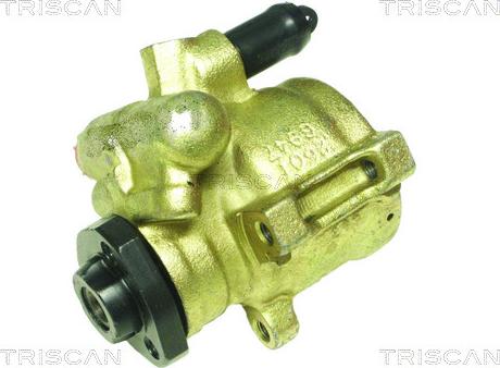 Triscan 8515 29622 - Pompe hydraulique, direction cwaw.fr