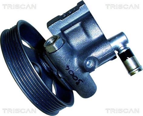 Triscan 8515 24601 - Pompe hydraulique, direction cwaw.fr