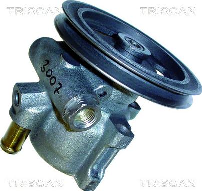 Triscan 8515 24603 - Pompe hydraulique, direction cwaw.fr