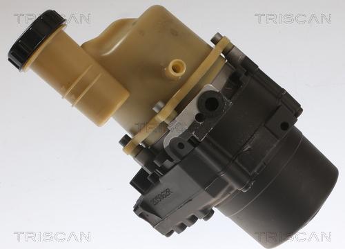 Triscan 8515 25651 - Pompe hydraulique, direction cwaw.fr