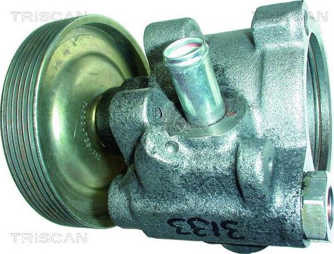 Triscan 8515 25603 - Pompe hydraulique, direction cwaw.fr