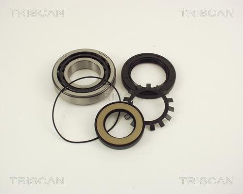 Triscan 8530 50227 - Kit de roulements de roue cwaw.fr