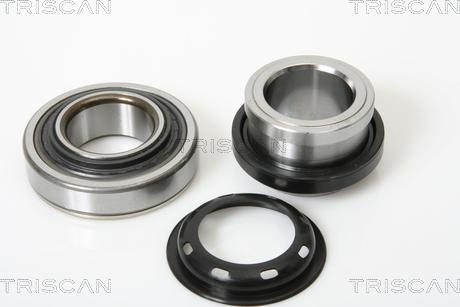 Triscan 8530 69214 - Kit de roulements de roue cwaw.fr