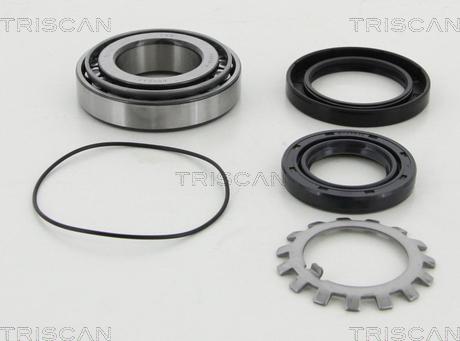 Triscan 8530 16250A - Kit de roulements de roue cwaw.fr