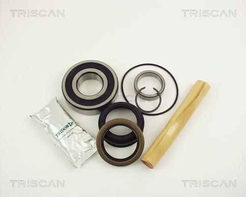 Triscan 8530 10229 - Kit de roulements de roue cwaw.fr