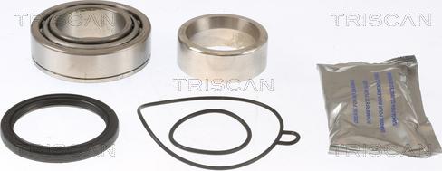 Triscan 8530 29215 - Kit de roulements de roue cwaw.fr