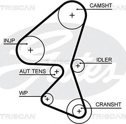Triscan 8645 5657xs - Courroie de distribution cwaw.fr