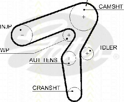 Triscan 8645 5600xs - Courroie de distribution cwaw.fr