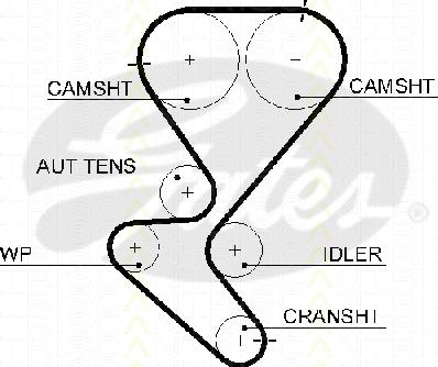 Triscan 8645 5615xs - Courroie de distribution cwaw.fr