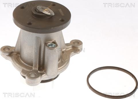 Triscan 8600 43026 - Pompe à eau cwaw.fr