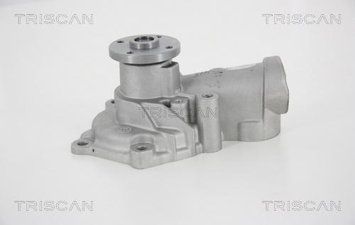 Triscan 8600 42019 - Pompe à eau cwaw.fr