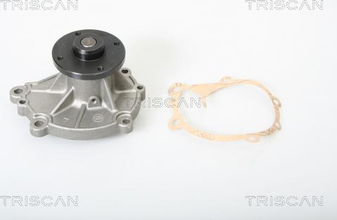 Triscan 8600 14002 - Pompe à eau cwaw.fr