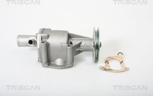 Triscan 8600 15969 - Pompe à eau cwaw.fr