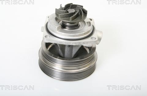 Triscan 8600 15014 - Pompe à eau cwaw.fr