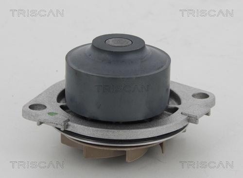 Triscan 8600 15013 - Pompe à eau cwaw.fr