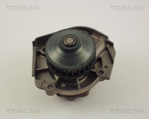 Triscan 8600 15029 - Pompe à eau cwaw.fr