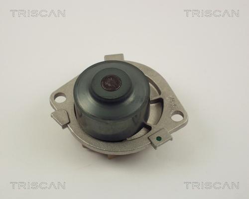 Triscan 8600 15128 - Pompe à eau cwaw.fr