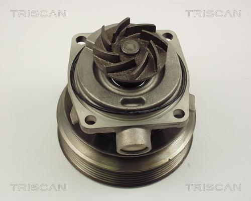 Triscan 8600 10006 - Pompe à eau cwaw.fr