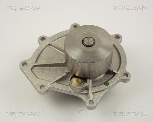 Triscan 8600 17009 - Pompe à eau cwaw.fr