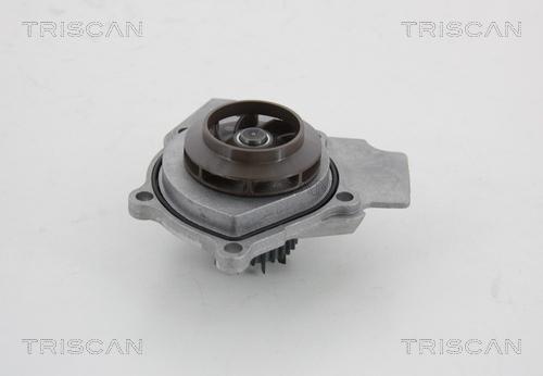 Triscan 8600 29057 - Pompe à eau cwaw.fr