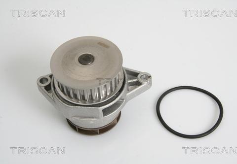 Triscan 8600 29010 - Pompe à eau cwaw.fr